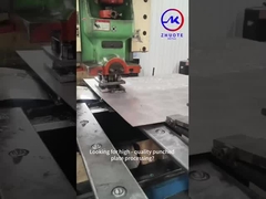 Comprimento 4m Acero pré-galvanizado Segurança Diamante Grip Trepadeira Trepadora