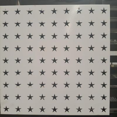 Heavy-Duty Galvanized Perforated Metal Sheet for Industrial Filtration and Ventilation